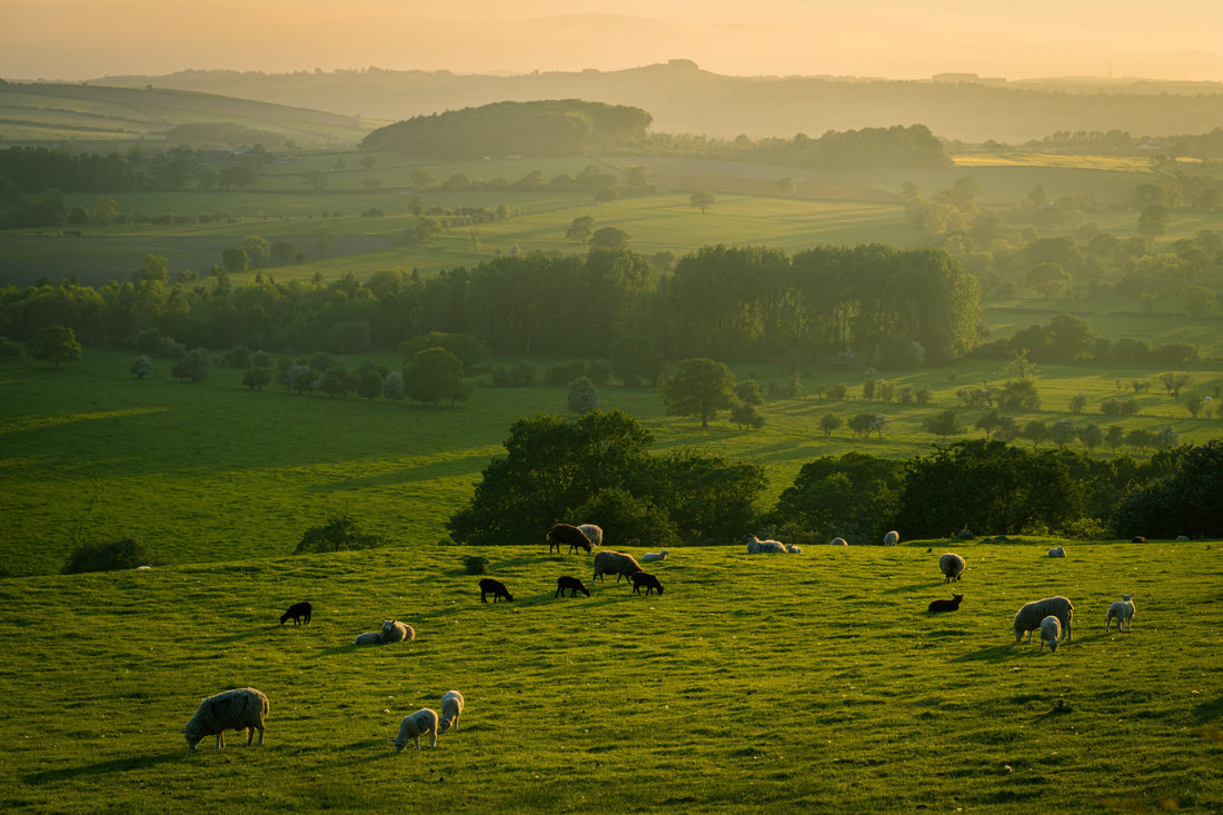 Why Yorkshire is the perfect HQ for The Man Who Makes